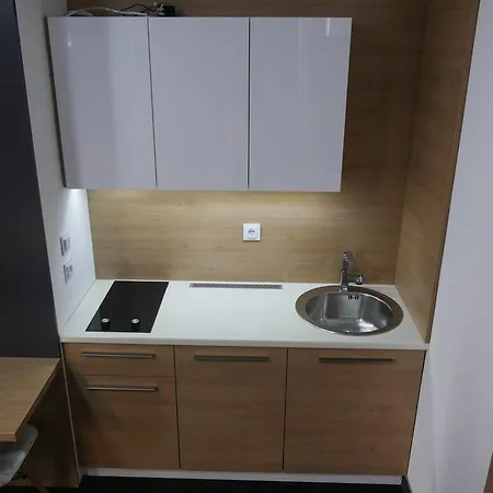 Apartment Vip